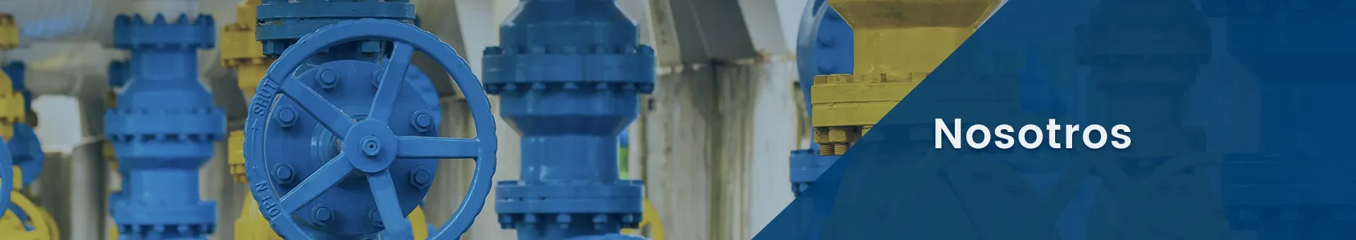 Nosotros