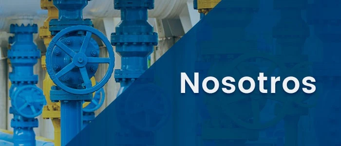Nosotros